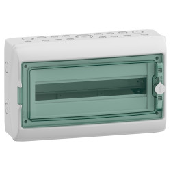 13982 Schneider - Coffret Kaedra 18 modules 1 rangée - étanche IP65 - Porte vitrée - Avec bornier de terre et serrure standard