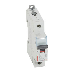 407427 Legrand DX3 - Disjoncteur unipolaire 3A 1P B3 6000A/10kA - Courbe B - 230V - À vis - 1 module