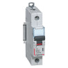 407435 Legrand DX3 - Disjoncteur unipolaire 32A 1P B32 6000A/10kA - Courbe B - 230V - À vis - 1 module
