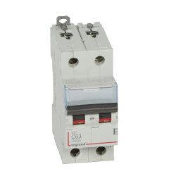 407806 Legrand DX3 - Disjoncteur bipolaire 63A 2P C63 6000A/10kA - 230V - Bornes à vis - 2 modules