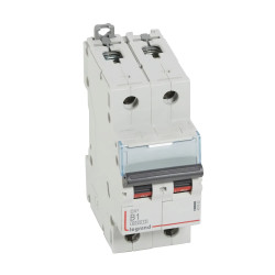 407502 Legrand DX3 - Disjoncteur bipolaire 1A 2P B1 6000A/10kA - Courbe B - 230V - À vis - 2 modules