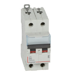 407506 Legrand DX3 - Disjoncteur bipolaire 6A 2P B6 6000A/10kA - Courbe B - 230V - À vis - 2 modules