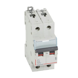 408024 Legrand DX3 - Disjoncteur bipolaire 2A 2P D2 6000A/10kA - Courbe D - 230V - À vis - 2 modules