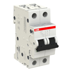 S202 C6 - Disjoncteur bipolaire ABB 6A - 2P - Courbe C - 6/10kA - Bornes à vis - 2CDS252001R0064 - 352233