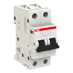 S202 C32 - Disjoncteur bipolaire ABB 32A - 2P - Courbe C - 6/10kA - Bornes à vis - 2CDS252001R0324 - 352241