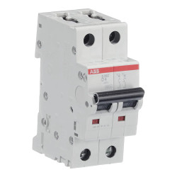 S202 D4 - Disjoncteur bipolaire ABB 4A - 2P - Courbe D - 6/10kA - Bornes à vis - 2CDS252001R0041 - 352257