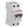 S202 D4 - Disjoncteur bipolaire ABB 4A - 2P - Courbe D - 6/10kA - Bornes à vis - 2CDS252001R0041 - 352257