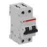 S202 D6 - Disjoncteur bipolaire ABB 6A - 2P - Courbe D - 6/10kA - Bornes à vis - 2CDS252001R0061 - 352258
