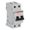 S202 D16 - Disjoncteur bipolaire ABB 16A - 2P - Courbe D - 6/10kA - Bornes à vis - 2CDS252001R0161 - 352263