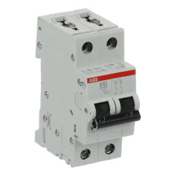 S202 D32 - Disjoncteur bipolaire ABB 32A - 2P - Courbe D - 6/10kA - Bornes à vis - 2CDS252001R0321 - 352266