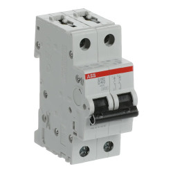 S202 D40 - Disjoncteur bipolaire ABB 40A - 2P - Courbe D - 6/10kA - Bornes à vis - 2CDS252001R0401 - 352267