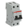 S202 D40 - Disjoncteur bipolaire ABB 40A - 2P - Courbe D - 6/10kA - Bornes à vis - 2CDS252001R0401 - 352267