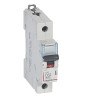 407974 Legrand DX3 - Disjoncteur unipolaire 32A 1P D32 6000A/10kA - Courbe D - 230V - À vis - 1 module