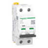 A9F74206 Schneider iC60N - Disjoncteur bipolaire 6A - 2P - Courbe C - 6/10kA - Bornes à vis - Acti9 iC60