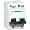 A9N18363 Schneider C120N - Disjoncteur bipolaire 125A - 2P - Courbe C - 10kA - Bornes à vis - 3 modules - Acti9 C120